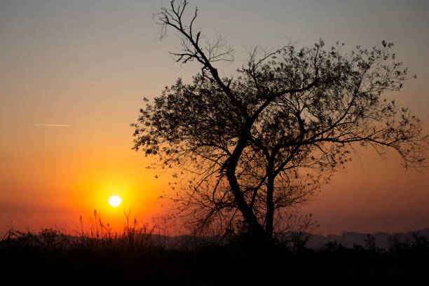 istock California Golden Pond 1205308993