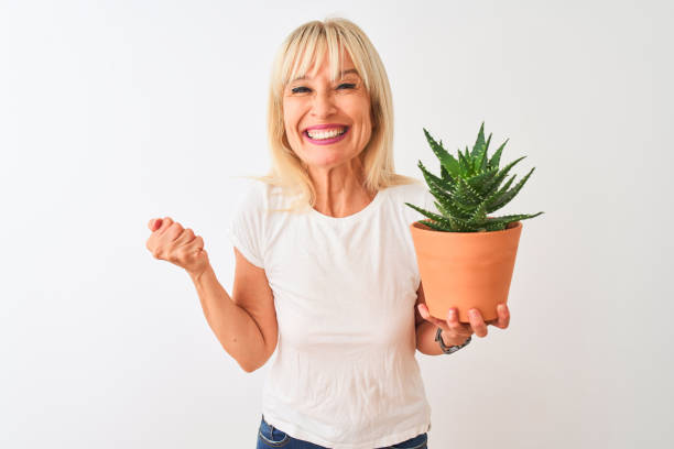 middle age woman holding cactus pot standing over isolated white background screaming proud and celebrating victory and success very excited, cheering emotion - cheerful cactus imagens e fotografias de stock