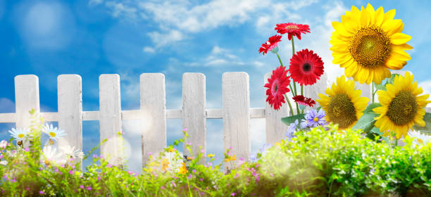 istock Flower garden summer background. Colorful Flower 1205310244