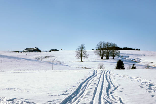 istock Scenic winter landscape, mountains covered with white snow, dark trees and path in snow leading to the wooden house. Snowy hills under blue sky during sunny winter day. 1205310819