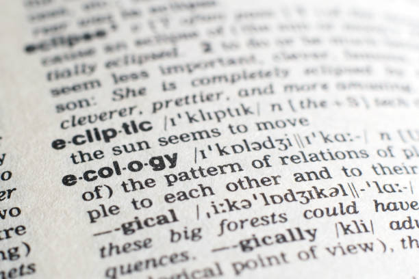 istock A close-up on a word Ecology in English dictionary (selective focus) 1205311065