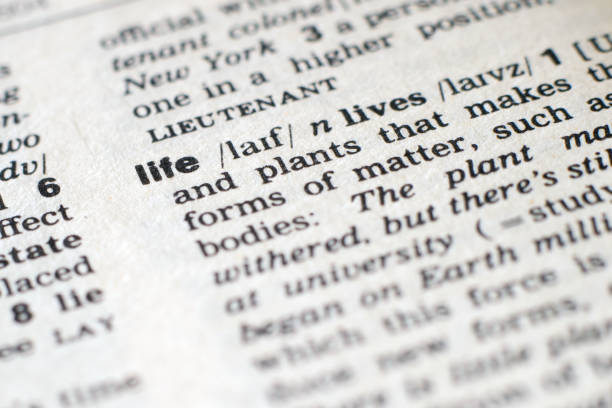 istock A close-up on a word Life in English dictionary (selective focus) 1205311090