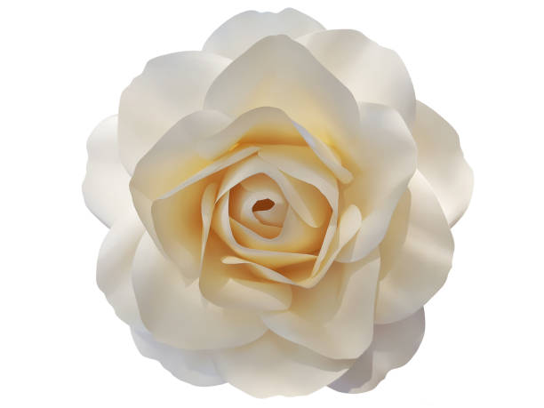 istock Delicate rose made of paper on a white background 1205312486