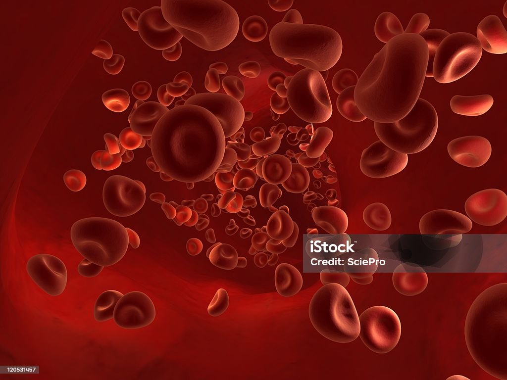 blood cell 적혈구 - 로열티 프리 대규모 개체 그룹 스톡 사진