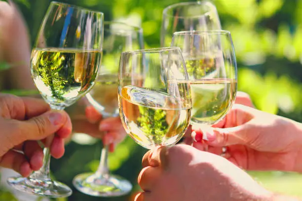 Celebration. People holding glasses of white wine making a toast. Family outdoor dinner in the garden in summertime at sunset. Picnic food and drink concept