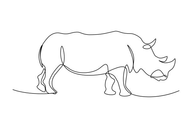 Rhinoceros Rhinoceros in continuous line art drawing style. Minimalist black linear sketch isolated on white background. Vector illustration rhinoceros stock illustrations