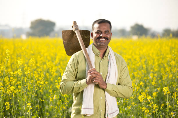Farmer in agricultural field Farmer in oilseed rape agricultural field garden hoe photos stock pictures, royalty-free photos & images