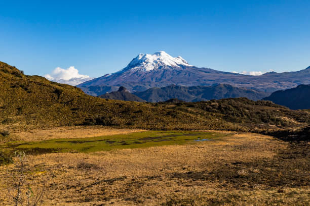 istock Ecuadorian Andes seen from the Cayambe Coca reserve 1205327241