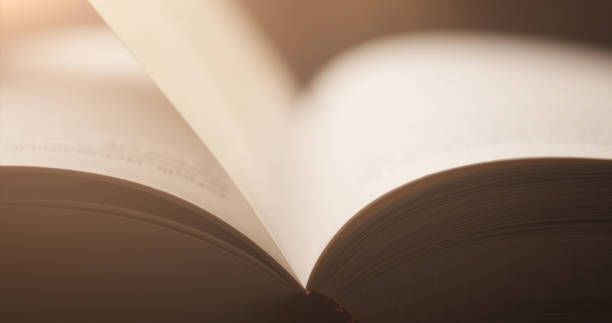 istock Reading A Book - Close-Up With Selective Focus - Literature, Education, Poetry 1205328525