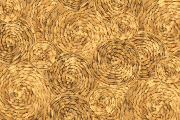 braid waterhiacynth vector pattern Vector circles made of waterhiacynth basket. Texture of plaid. wood fibers stock illustrations