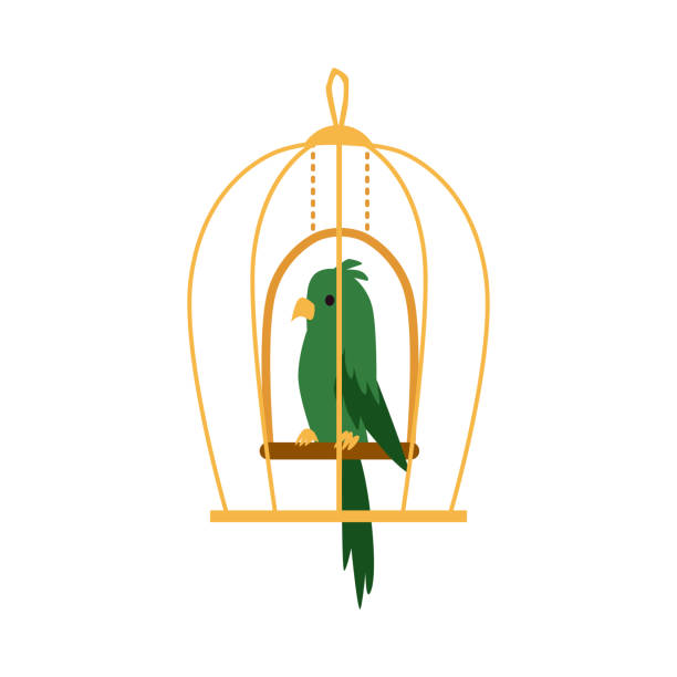 Green exotic parrot bird in cage icon flat cartoon vector illustration isolated. Green exotic parrot bird in cage icon, flat cartoon vector illustration isolated on white background. Colorful logo or emblem for pets shop or veterinary clinic. cage stock illustrations