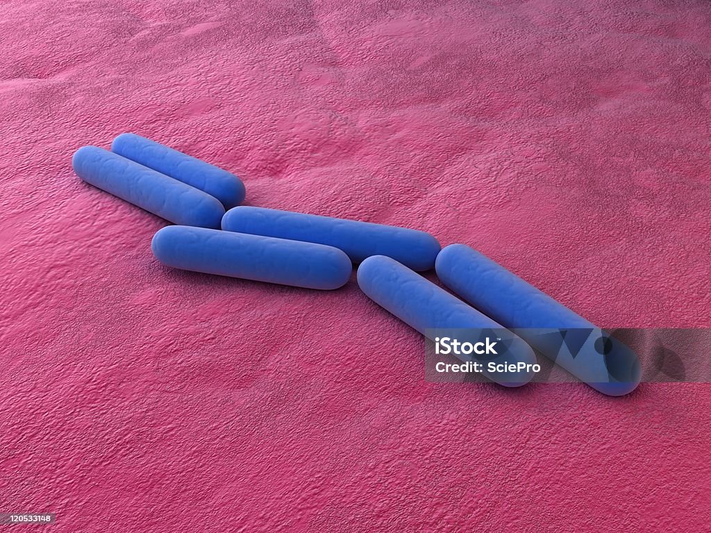 Bactéria bacillus subtilis - Royalty-free Bactéria Foto de stock