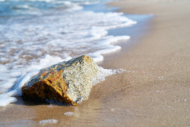 istock Stone on the shore of the Baltic Sea 1205335708