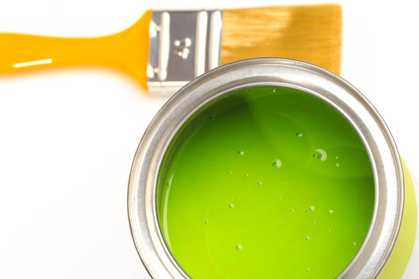 Can with green paint with brush  isolated on white background - Image