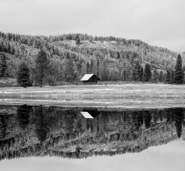 mirror lake reflection, cordão de teton do grand teton national park no estado americano de wyoming - nature reflection grand teton teton range - fotografias e filmes do acervo