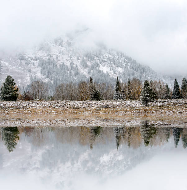 mirror lake reflection, cordão de teton do grand teton national park no estado americano de wyoming - nature reflection grand teton teton range - fotografias e filmes do acervo