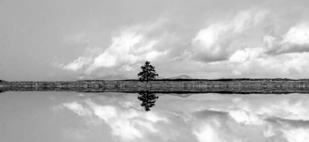 mirror lake reflection, cordão de teton do grand teton national park no estado americano de wyoming - nature reflection grand teton teton range - fotografias e filmes do acervo