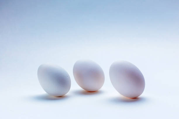 istock Three white chicken eggs stand on a white background. Cold light. Copy space. Minimalism concept. 1205338610
