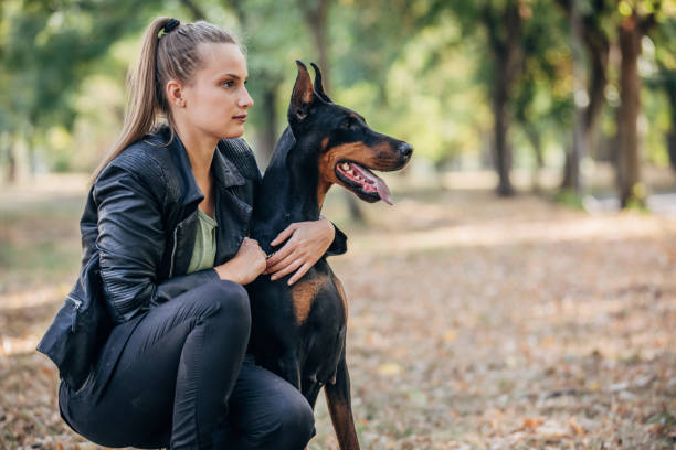 istock Young woman playing with her Doberman in the park 1205338834