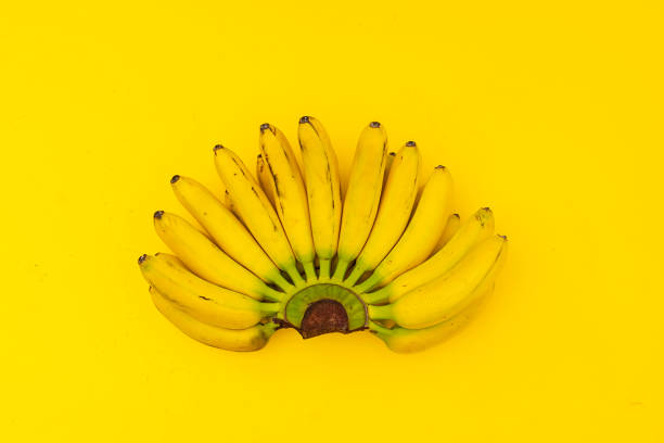 노란색 표면에 검은 점으로 미니 바나나의 못생긴 무리를 먹을 준비가 잘 익은 유행 - banana rotting ripe above 뉴스 사진 이미지