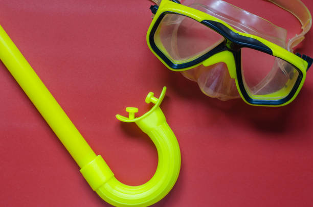 Accessories for a beach holiday and marine entertainment on a burgundy background. View from above. Selective focus.