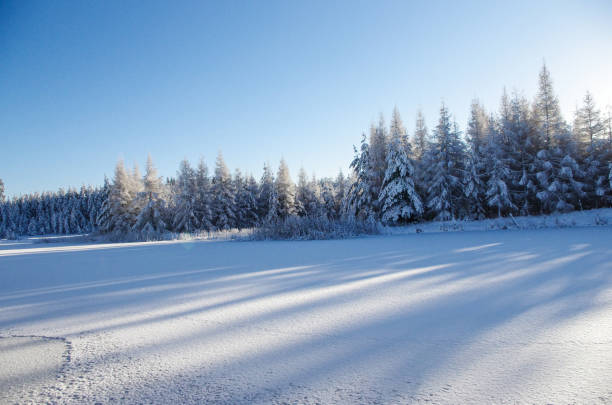 istock White winter. Snowy forest, ice on lake, blue sky 1205345472