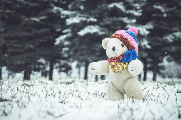 istock bear toy with knitted scarf and hat 1205348716