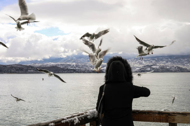 Bird Feeding and Animal Lover Woman
