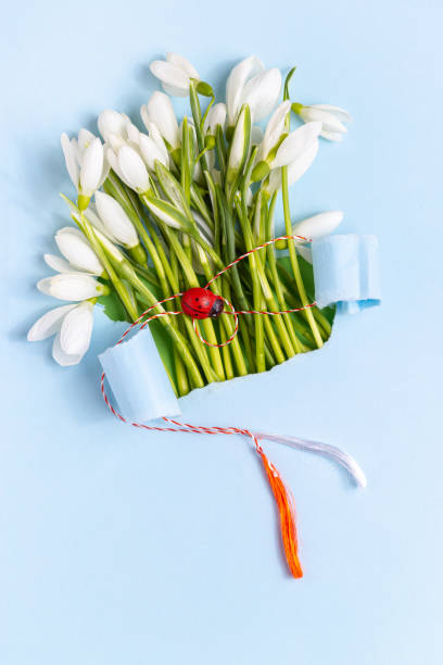 Spring greeting card made from blue torn paper with Snowdrops (Galanthus nivalis) flowers. 8 March, Martisor, Baba Marta holiday concept. Place for text