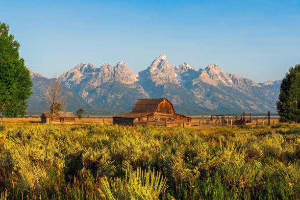 mormon row historic district, grand teton national park, wyoming, etats-unis - wyoming teton range jackson hole autumn photos et images de collection