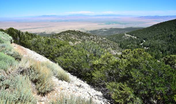 istock Landscape of Great Basin NP 1205356718