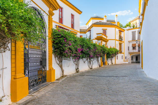 Scenic sight in the Plaza de Toros of Seville, Andalusia, Spain. Scenic sight in the Plaza de Toros of Seville, Andalusia, Spain. bullring stock pictures, royalty-free photos & images