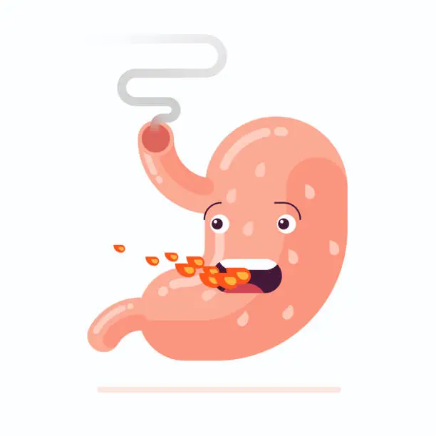 Vector illustration of Human stomach cartoon character with heartburn