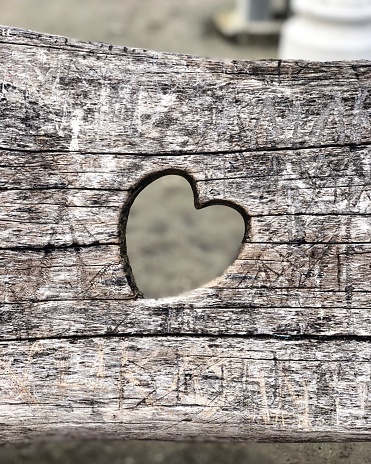 Heart engraved in woods bench, Palic lake ,Serbia in love