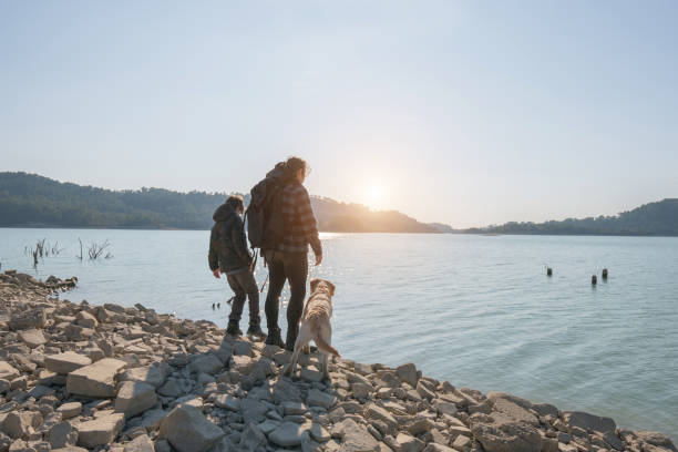 istock Brothers looking away over lake with her dog 1205358338