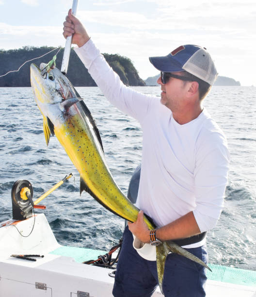 istock Fisherman with dolphin fish in Costa Rica 1205361053