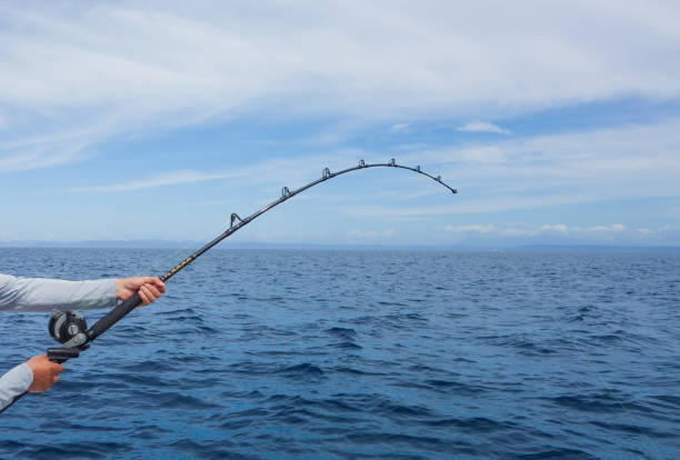 istock Sport fisherman 1205362590