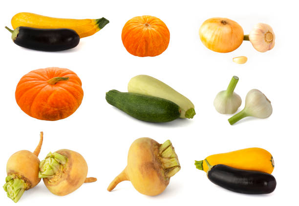 istock Yellow zucchini with dark purple ripe eggplant 1205363095