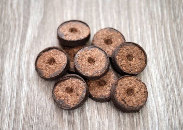 istock Peat tablets to grow seedlings on a wooden table 1205366456