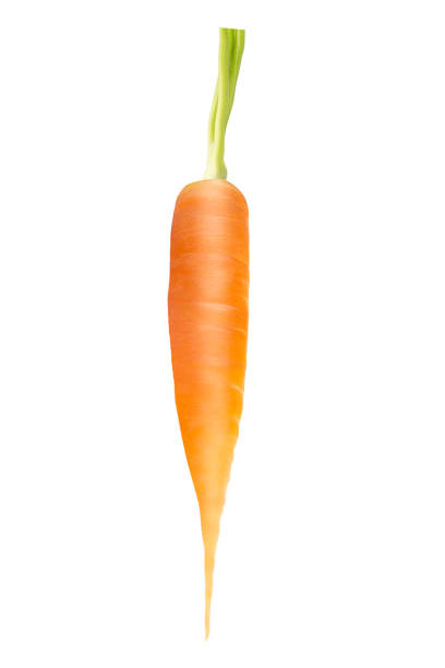 istock One whole fresh carrot on white background 1205367515