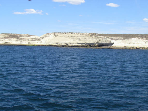 Photo taken in the Puerto Madryn, Chubut Province, Argentina, in November 2015