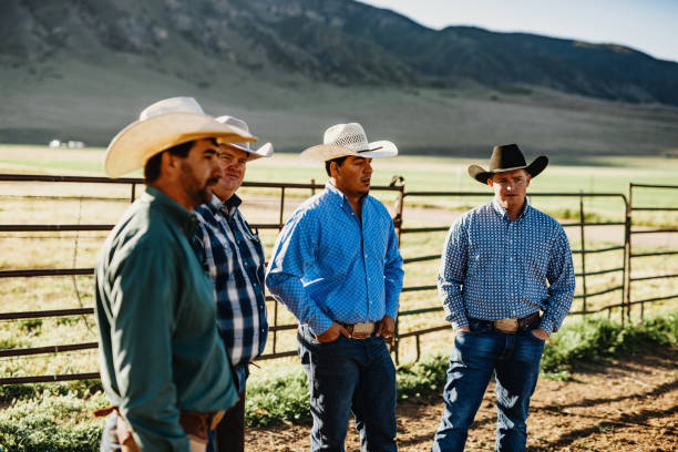 istock Adult cowboys riding galloping horses 1205368461