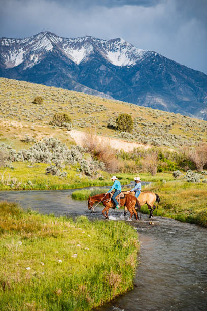 istock Adult cowboys riding galloping horses 1205369473
