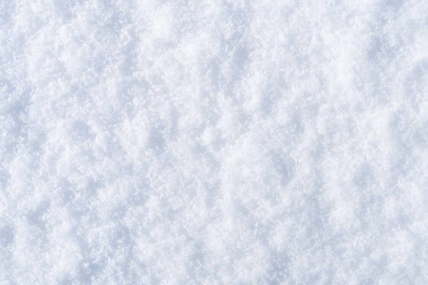 istock Snow texture, Top view of the snow. Texture for design. Snowy white texture. 1205369624