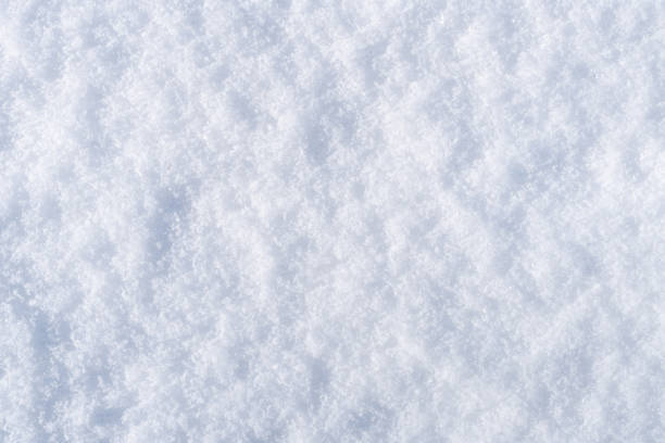 istock Snow texture, Top view of the snow. Texture for design. Snowy white texture. 1205369713