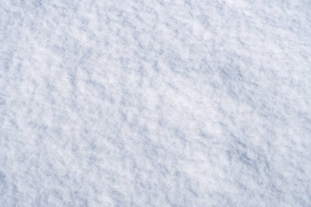 istock Snow texture, Top view of the snow. Texture for design. Snowy white texture. 1205369927