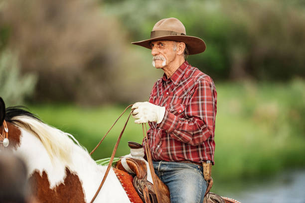 rodeio e cowboys na arena montando cavalos selvagens - horseback riding cowboy riding recreational pursuit - fotografias e filmes do acervo