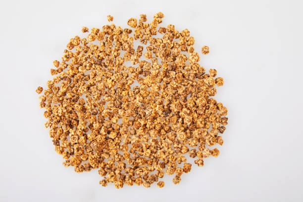 istock Dry beet seeds for sowing isolated on a white background. 1205370116