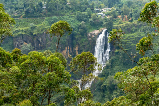 istock Beautiful Devon falls, tropical climate of Sri Lanka 1205371400