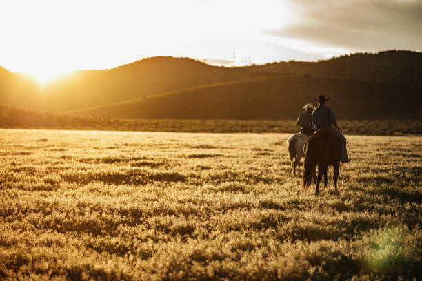 istock Adult cowboys riding galloping horses 1205371590